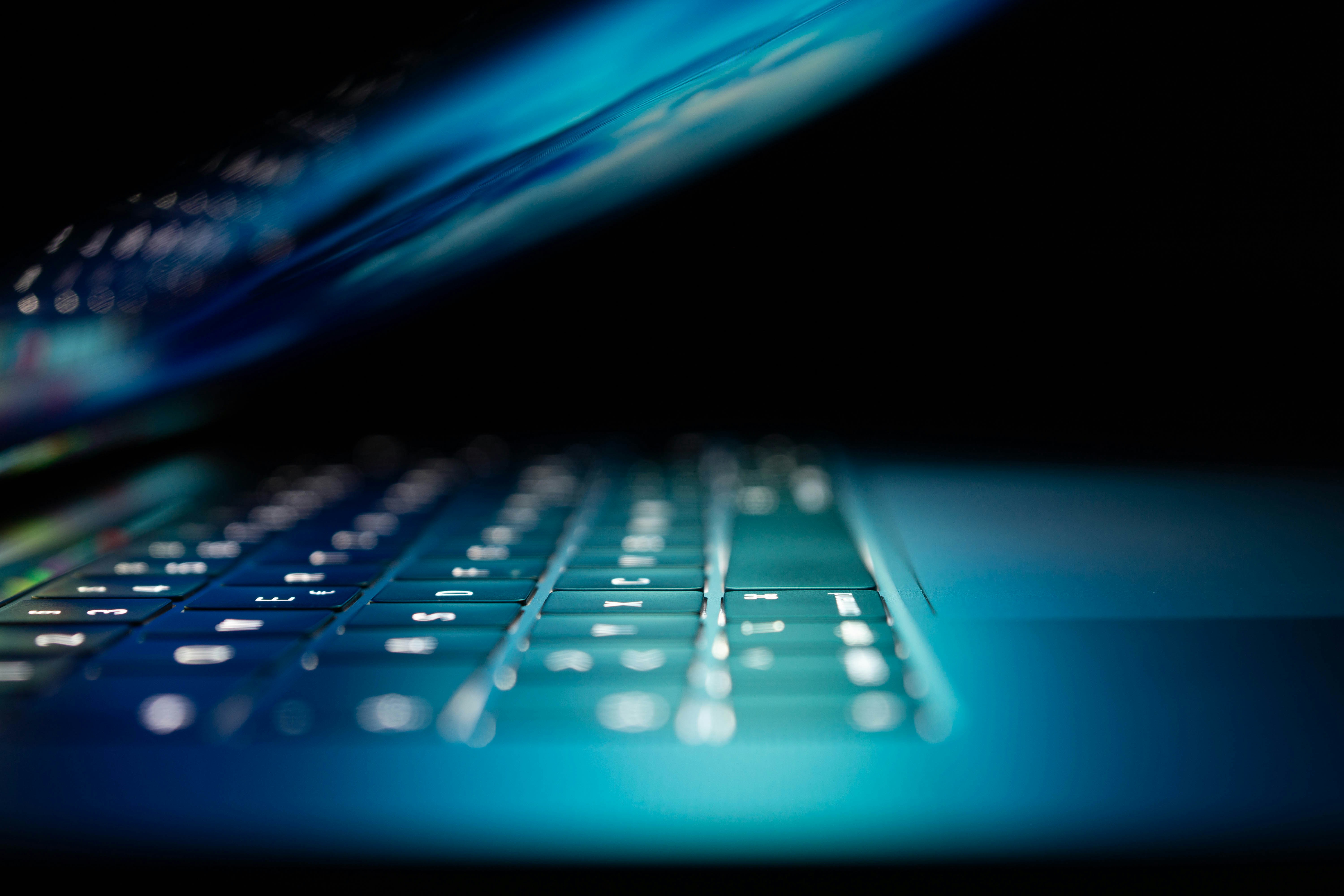 WordPress security concept